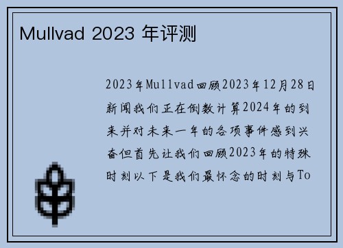 Mullvad 2023 年评测 