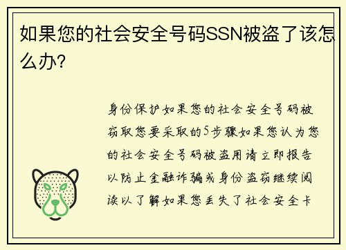 如果您的社会安全号码SSN被盗了该怎么办？